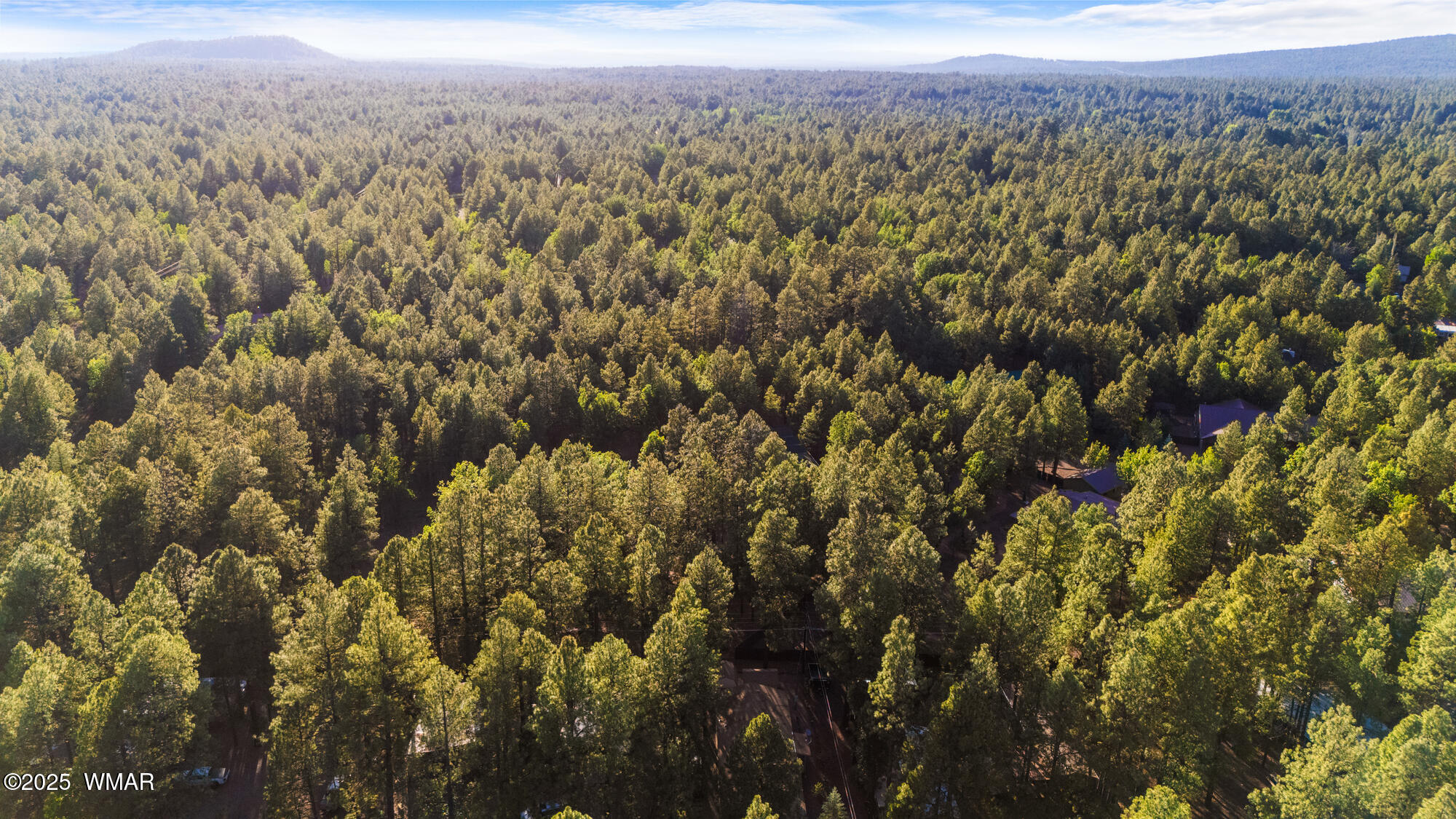 4236 West Blue Ridge Loop Pinetop, AZ 85935 - Photo 36 of 45 Ariel of the Pines
