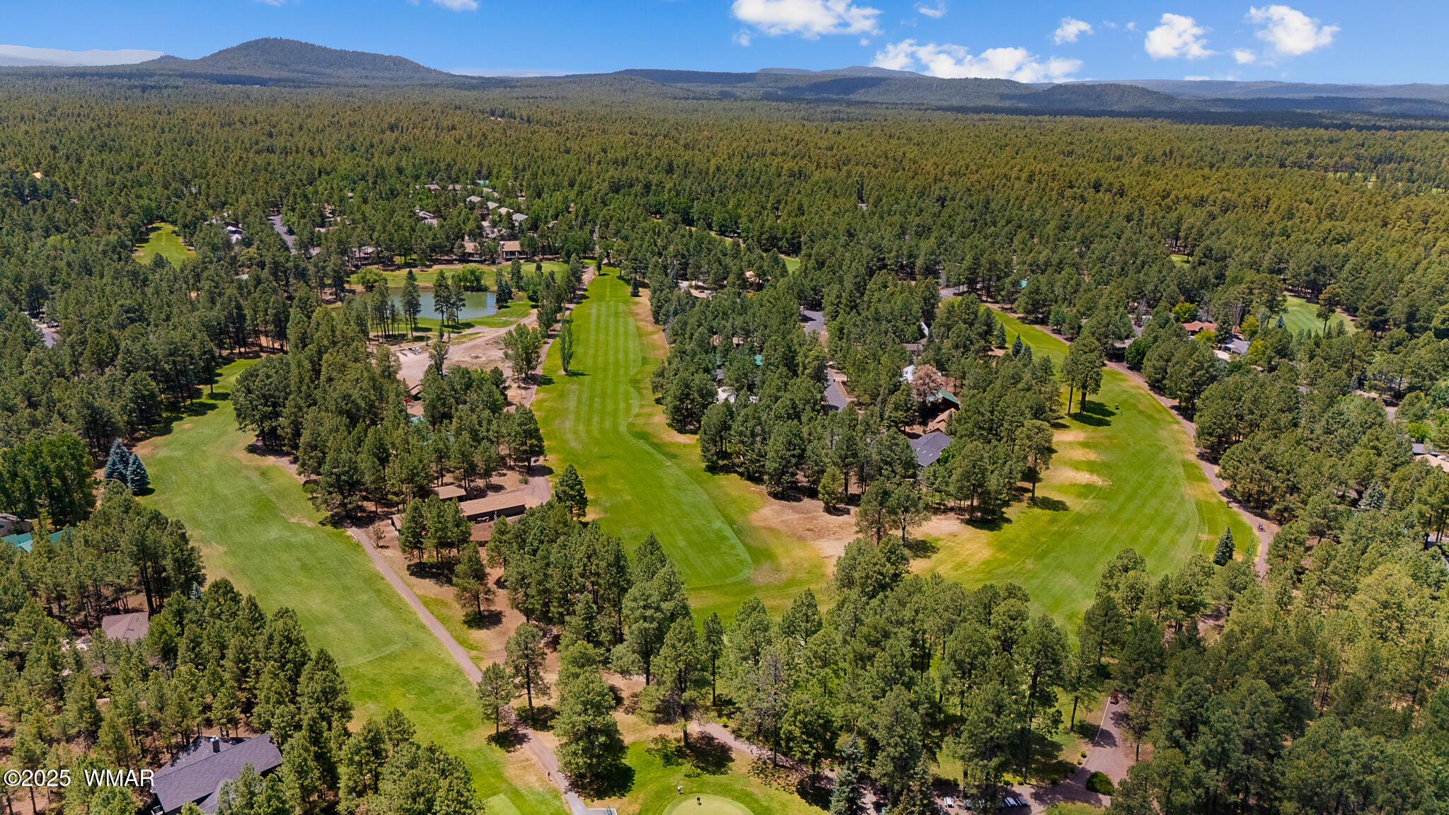 4236 West Blue Ridge Loop Pinetop, AZ 85935 - Photo 43 of 45 twinflamerealestatemedia-4