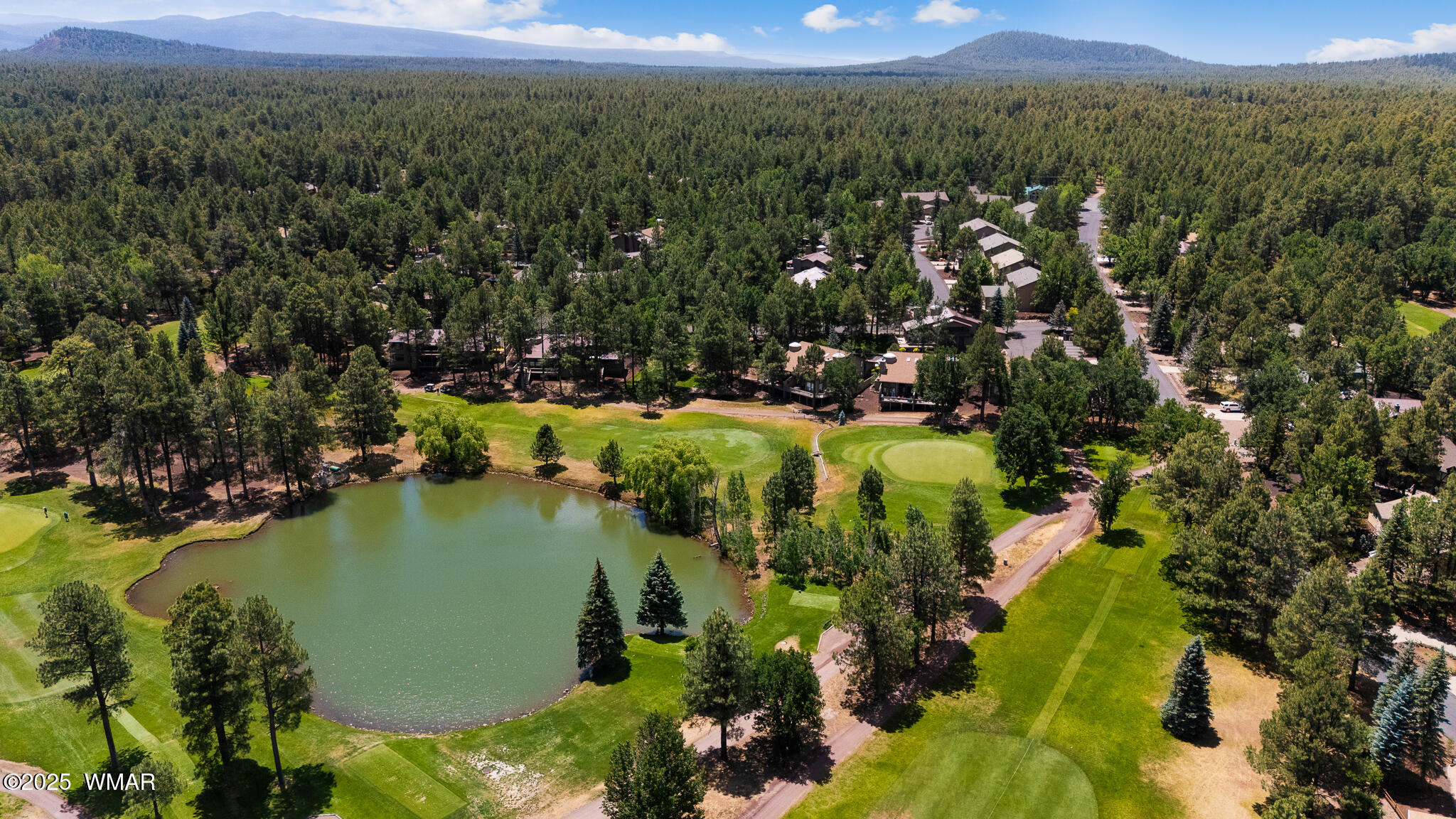 4236 West Blue Ridge Loop Pinetop, AZ 85935 - Photo 44 of 45 twinflamerealestatemedia-5