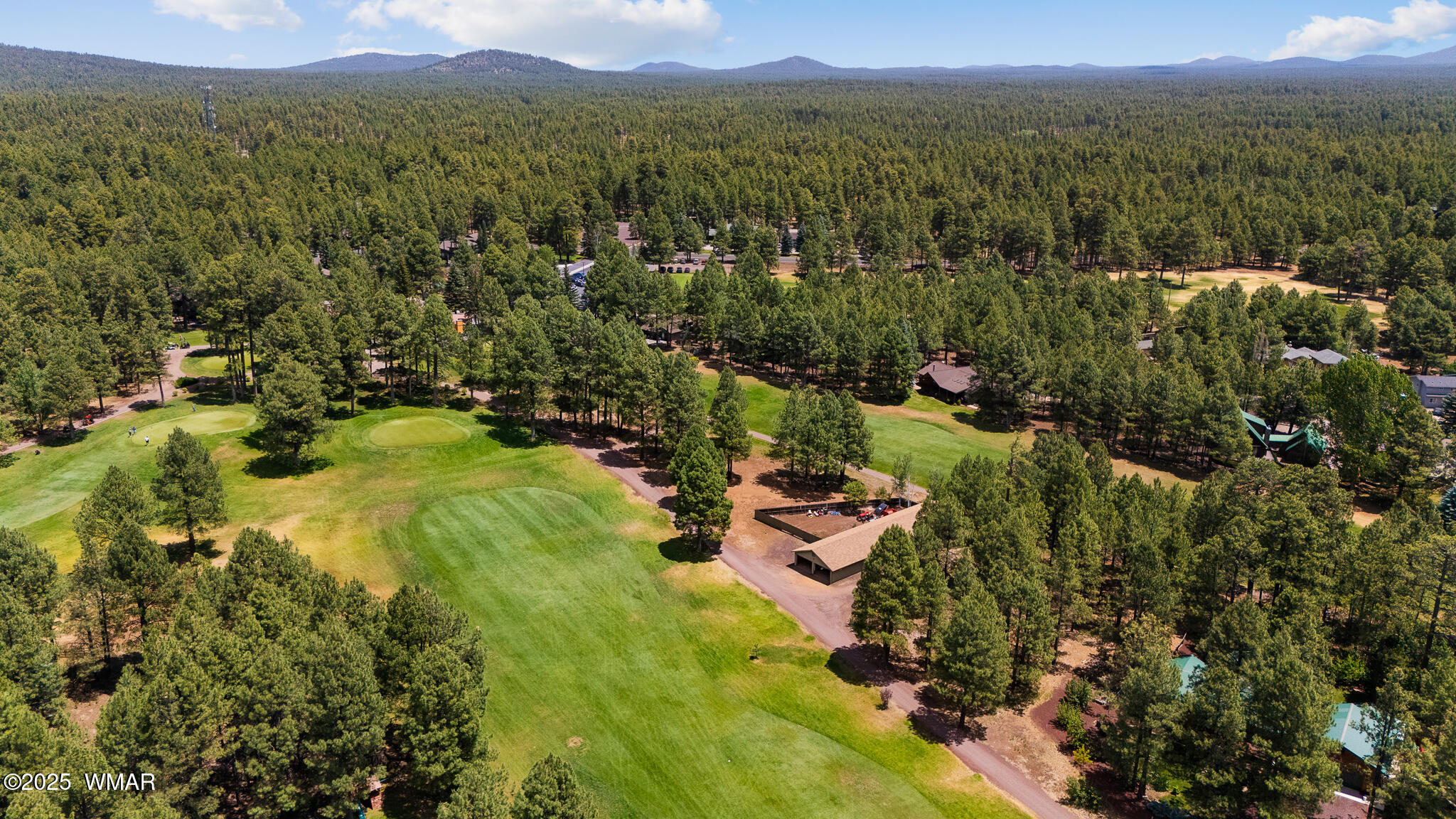 4236 West Blue Ridge Loop Pinetop, AZ 85935 - Photo 45 of 45 twinflamerealestatemedia-6