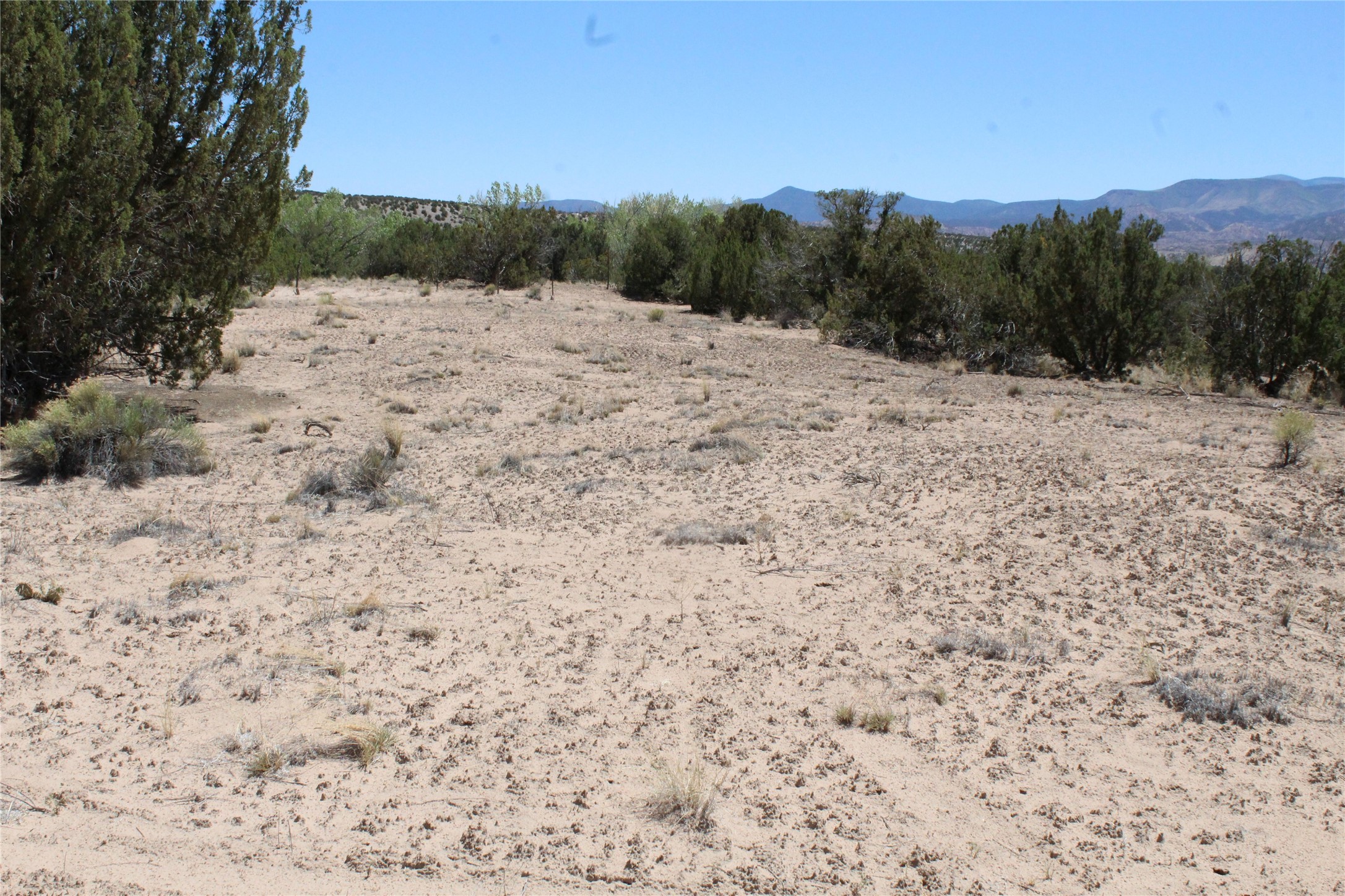 Tbd Tbd Bean Creek Road Abiquiu, NM 87510 - Photo 7 of 22