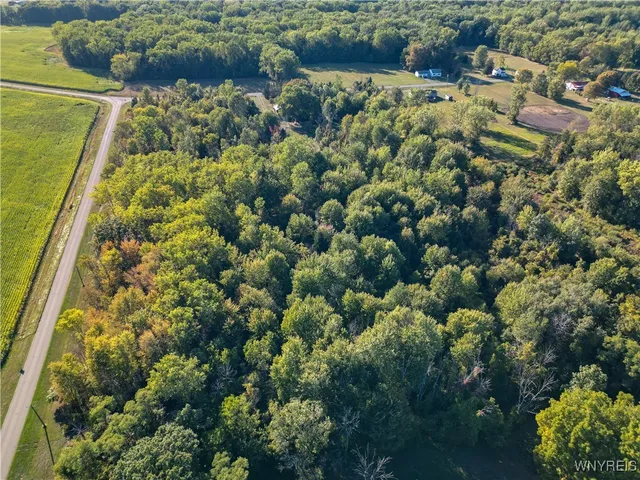 $34,500 | Kerwin Road North, Gasport, NY 14067