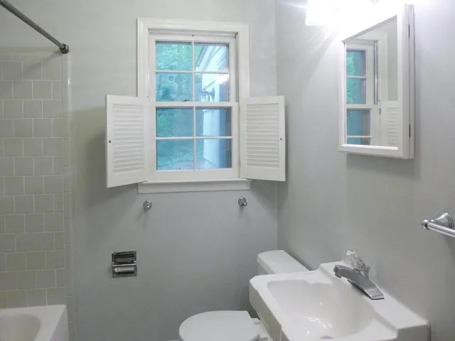 a bathroom with a sink mirror and toilet