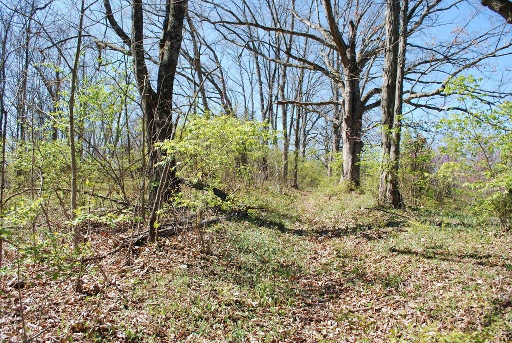 4823 Whites Road Latonia, KY 41015 - Photo 8 of 10 Gallery Image 8