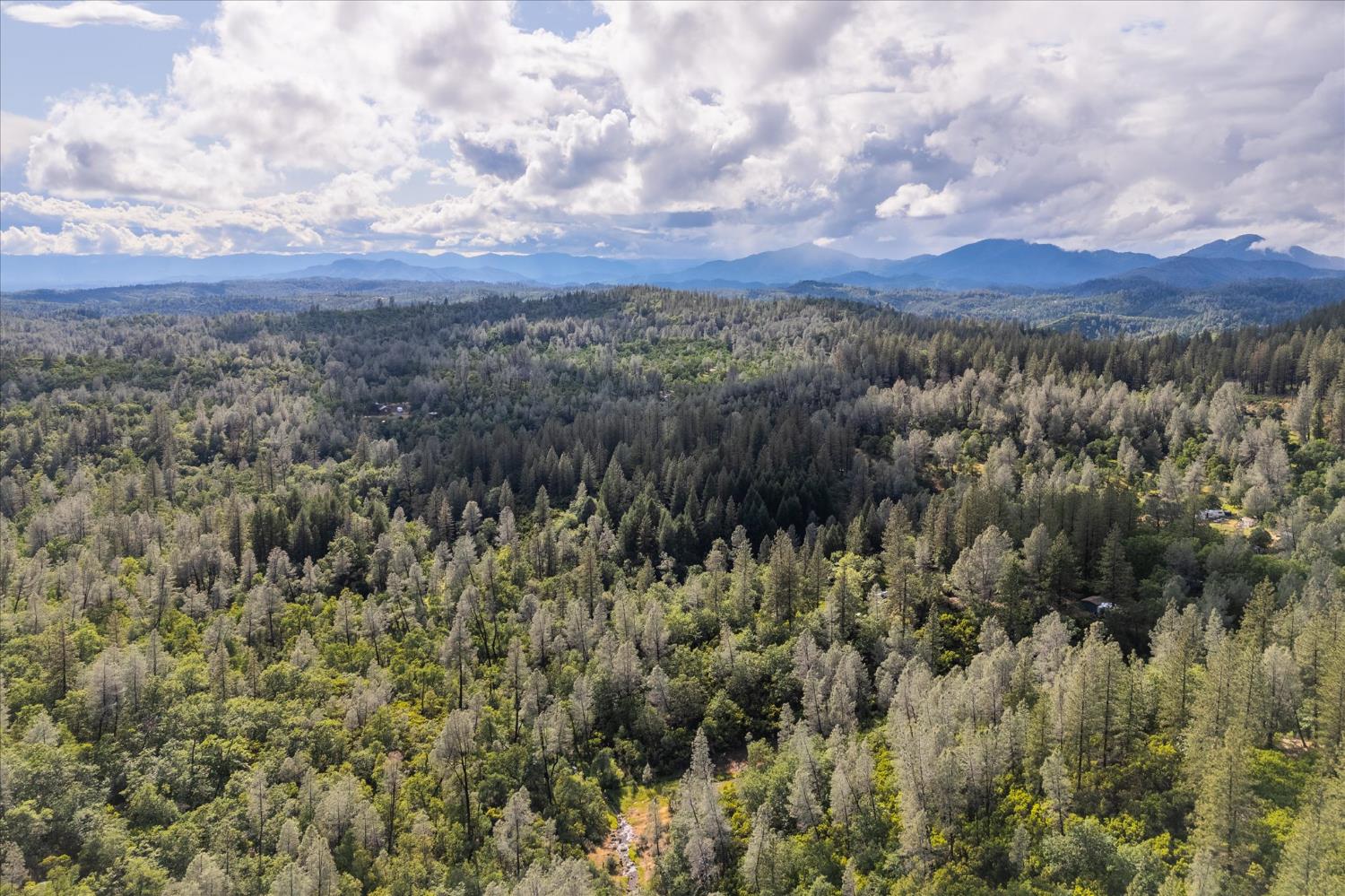 0 Donkey Mine Road Oak Run, CA 96069 - Photo 12 of 19 Gallery Image 12