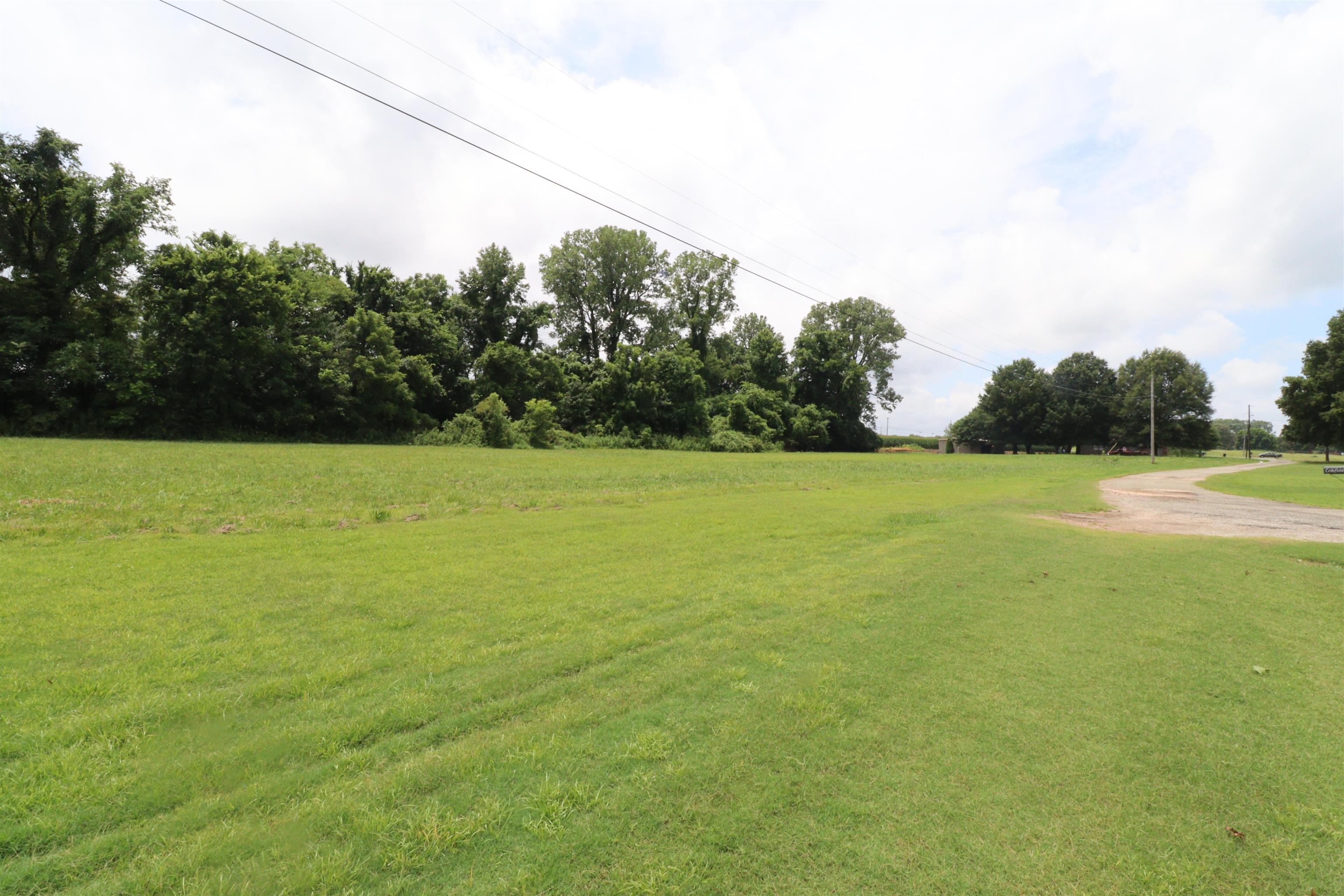 0 Edith-Nankipoo Road Ripley, TN 38063 - Photo 3 of 7 a view of a field with an ocean view