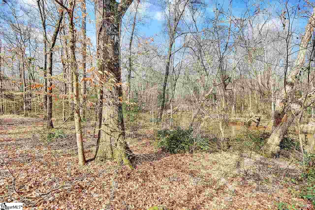 4390 Fork Shoals Road Simpsonville, SC 29680 - Photo 7 of 10
