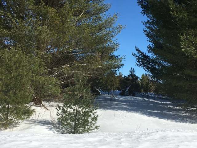 On Deerwood Road, Unit ON Minocqua, WI 54548 - Photo 3 of 5 Gallery Image 3