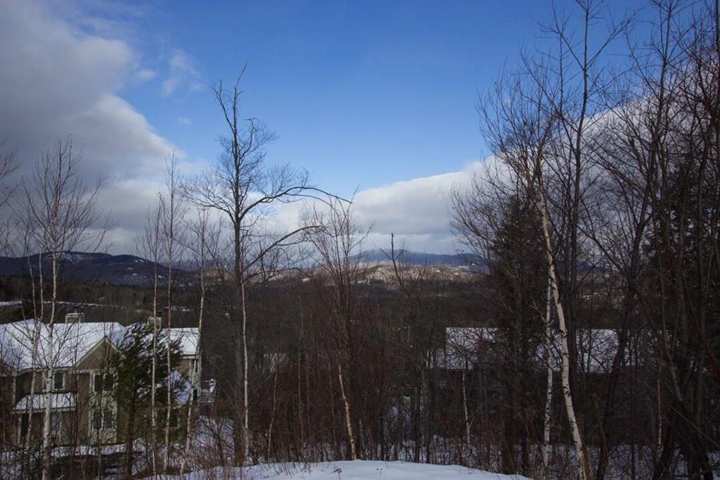 32 Tempest Road, Unit L1 Newry, ME 04261 - Photo 30 of 31 Photo