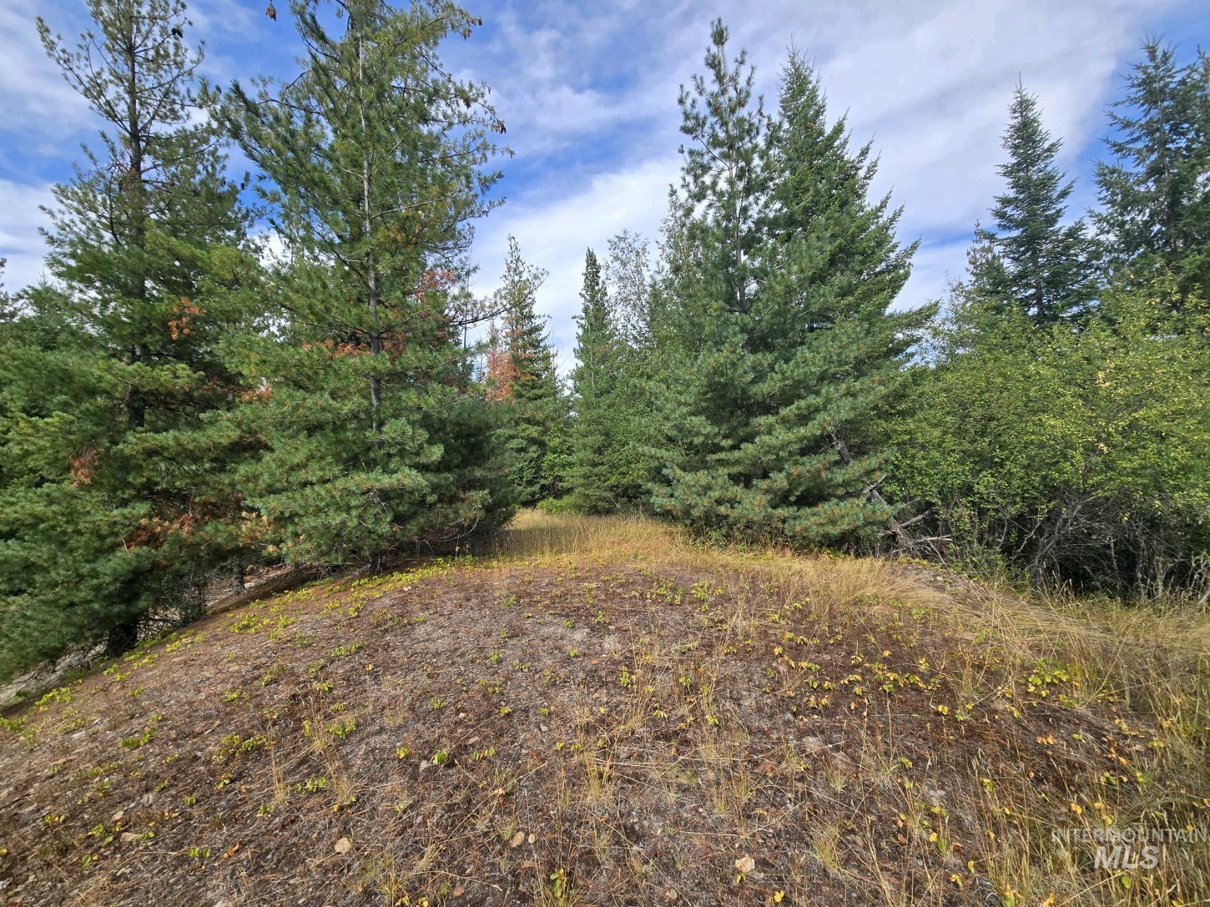 Nna-c Silver Valley Road Kellogg, ID 83837 - Photo 14 of 23
