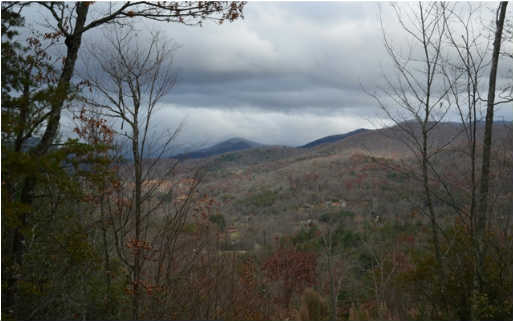 Multi Scenic View Road Hiawassee, GA 30546 - Photo 1 of 1 Main View