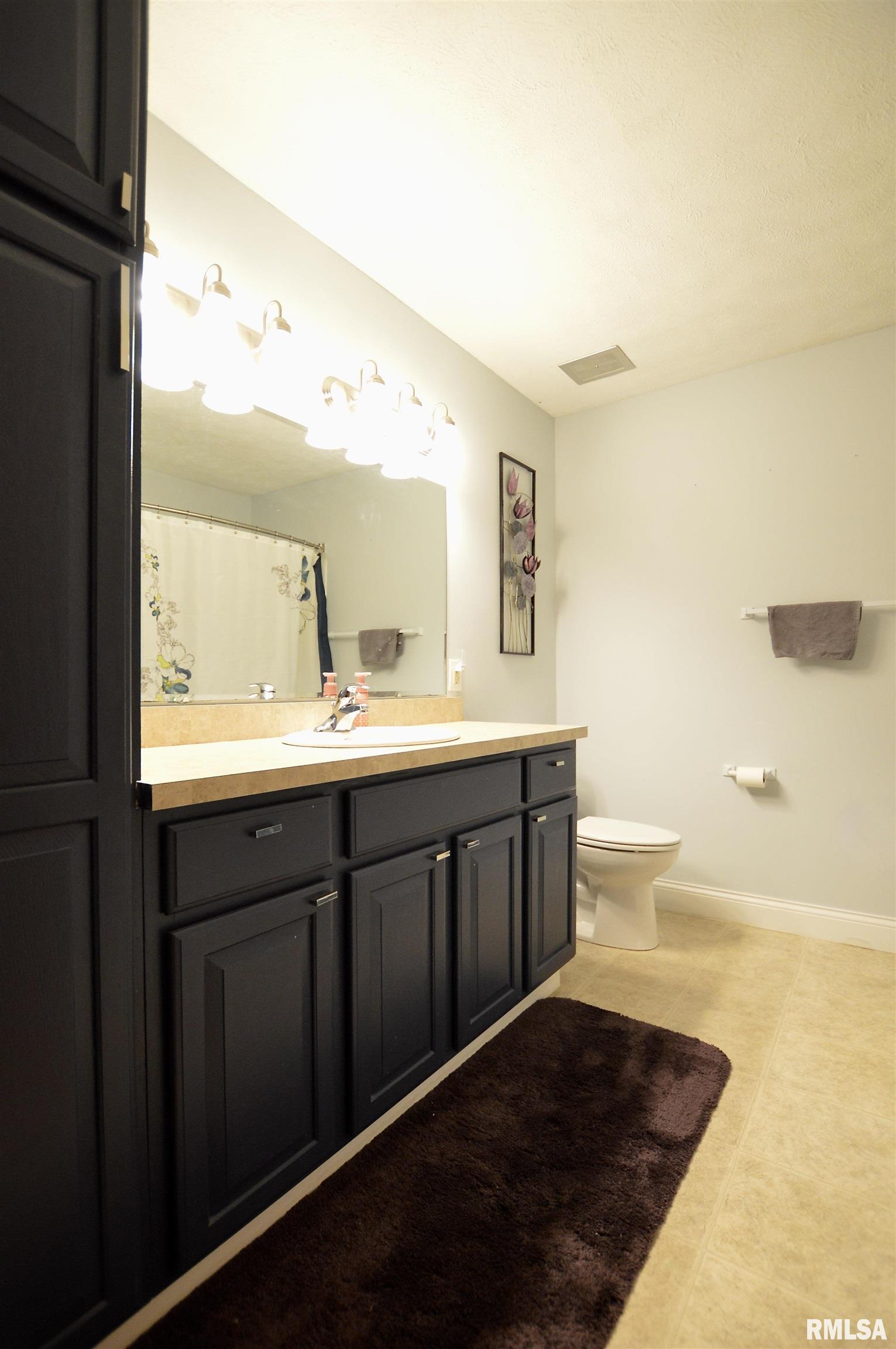 49 Bonnie Brook Road Chatham, IL 62629 - Photo 21 of 32 Gallery Image 21