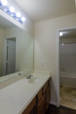 a bathroom with a sink and a mirror