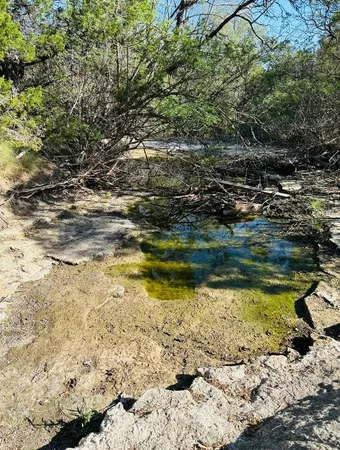 a view of a lake view