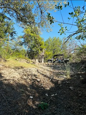 a view of backyard with green space