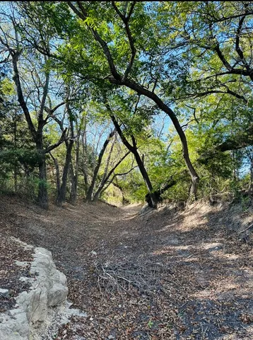 a view of an ocean and beach