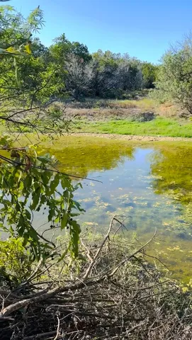 a view of a building with a tree