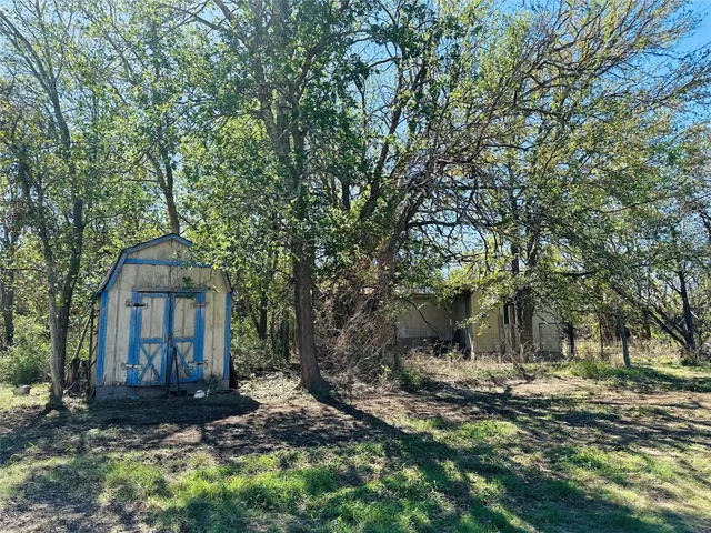 a view of a yard with plants and trees