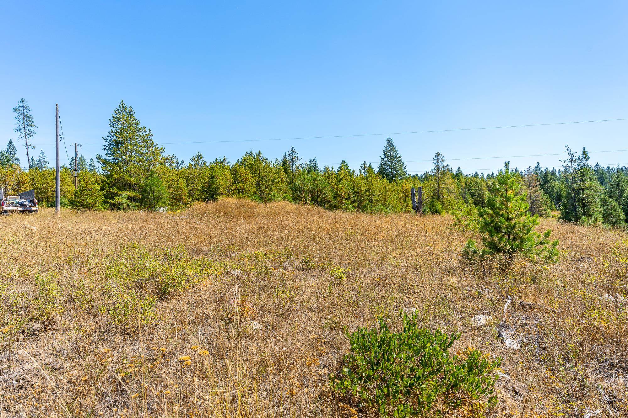 1059 Scotia Road Newport, WA 99156 - Photo 11 of 19