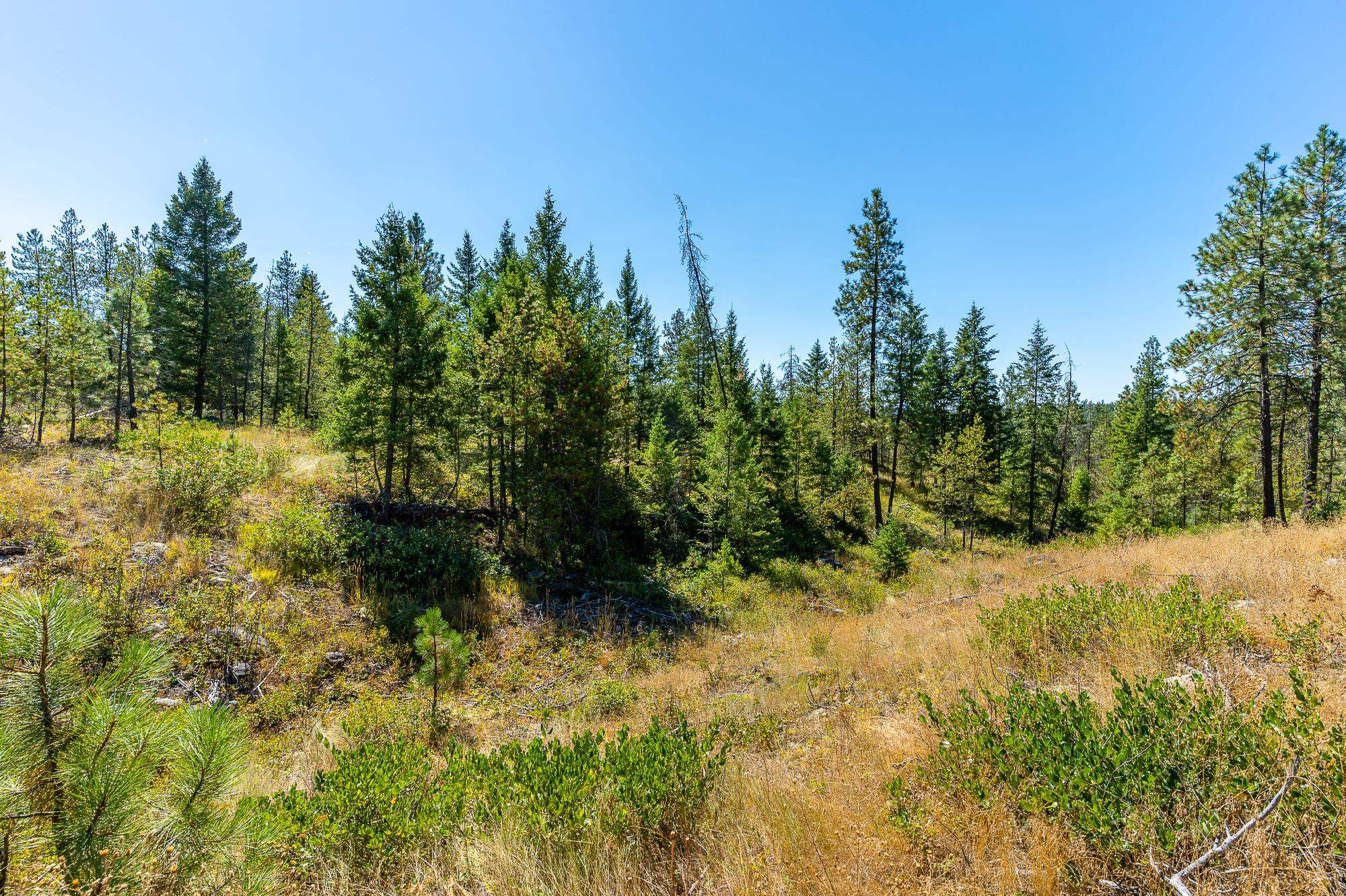 1059 Scotia Road Newport, WA 99156 - Photo 12 of 19