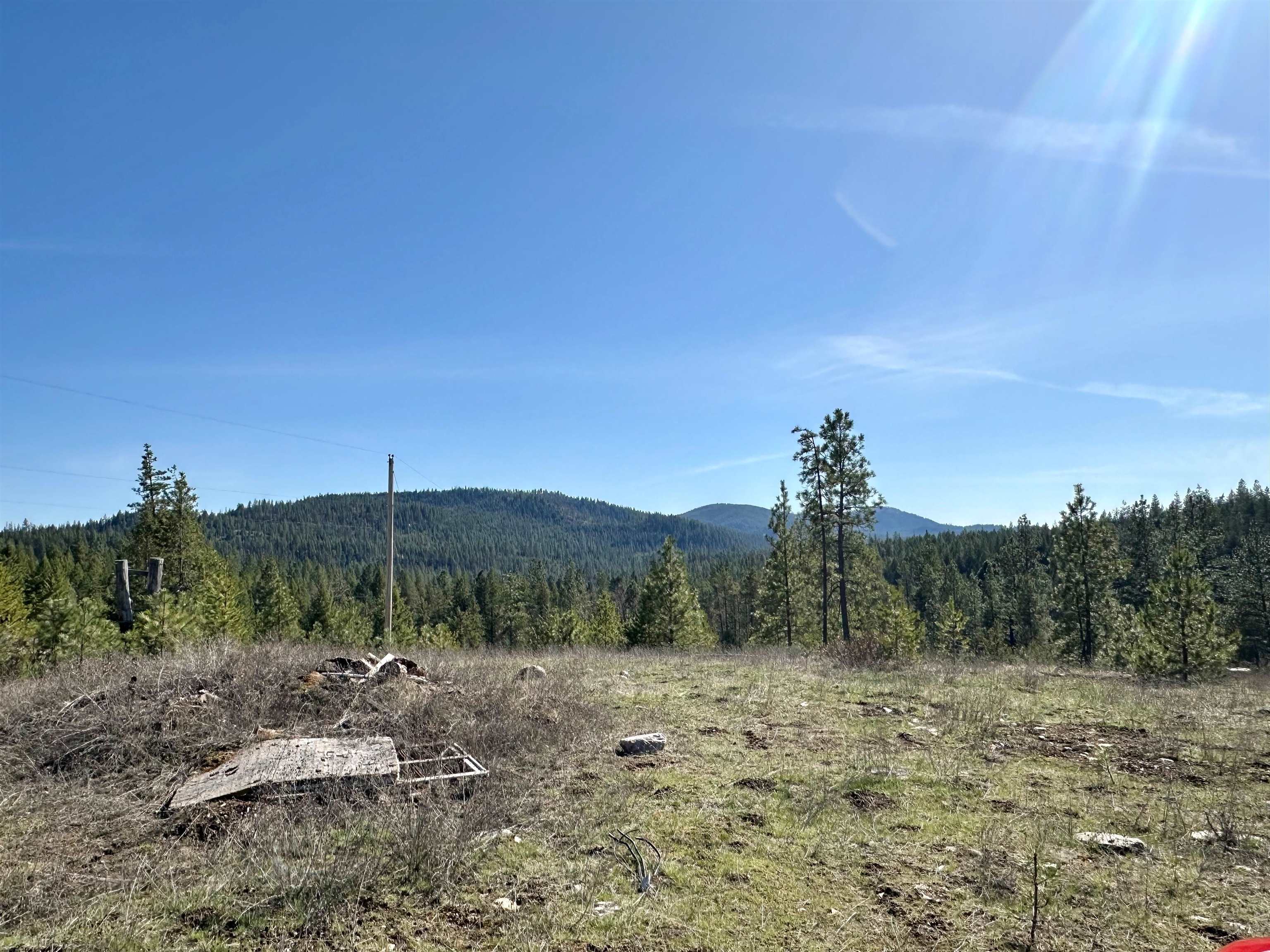 1059 Scotia Road Newport, WA 99156 - Photo 2 of 19