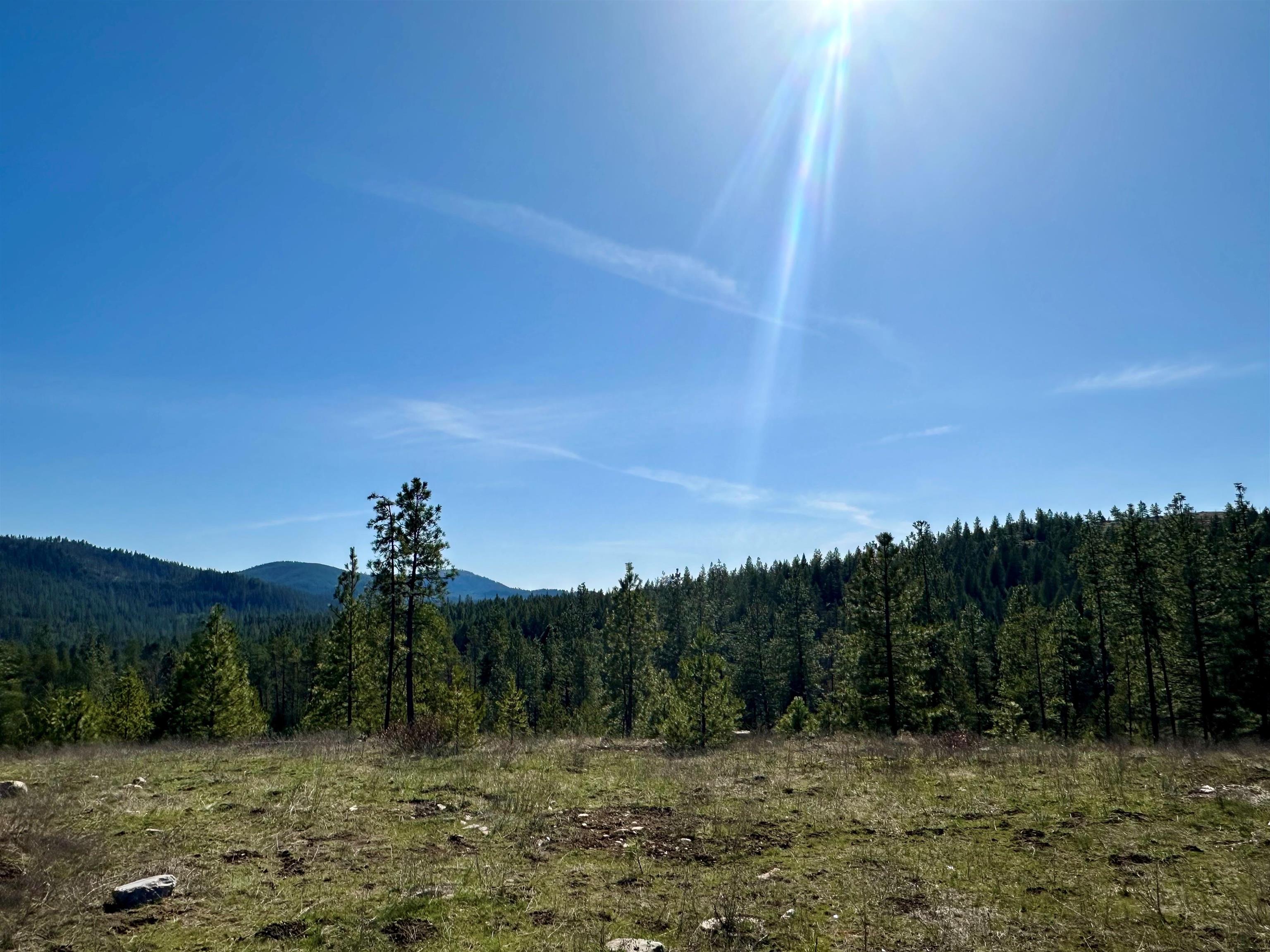 1059 Scotia Road Newport, WA 99156 - Photo 3 of 19