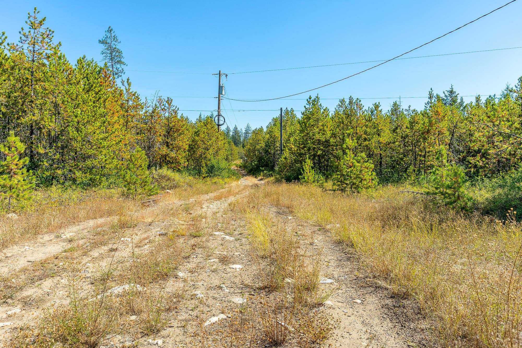 1059 Scotia Road Newport, WA 99156 - Photo 9 of 19