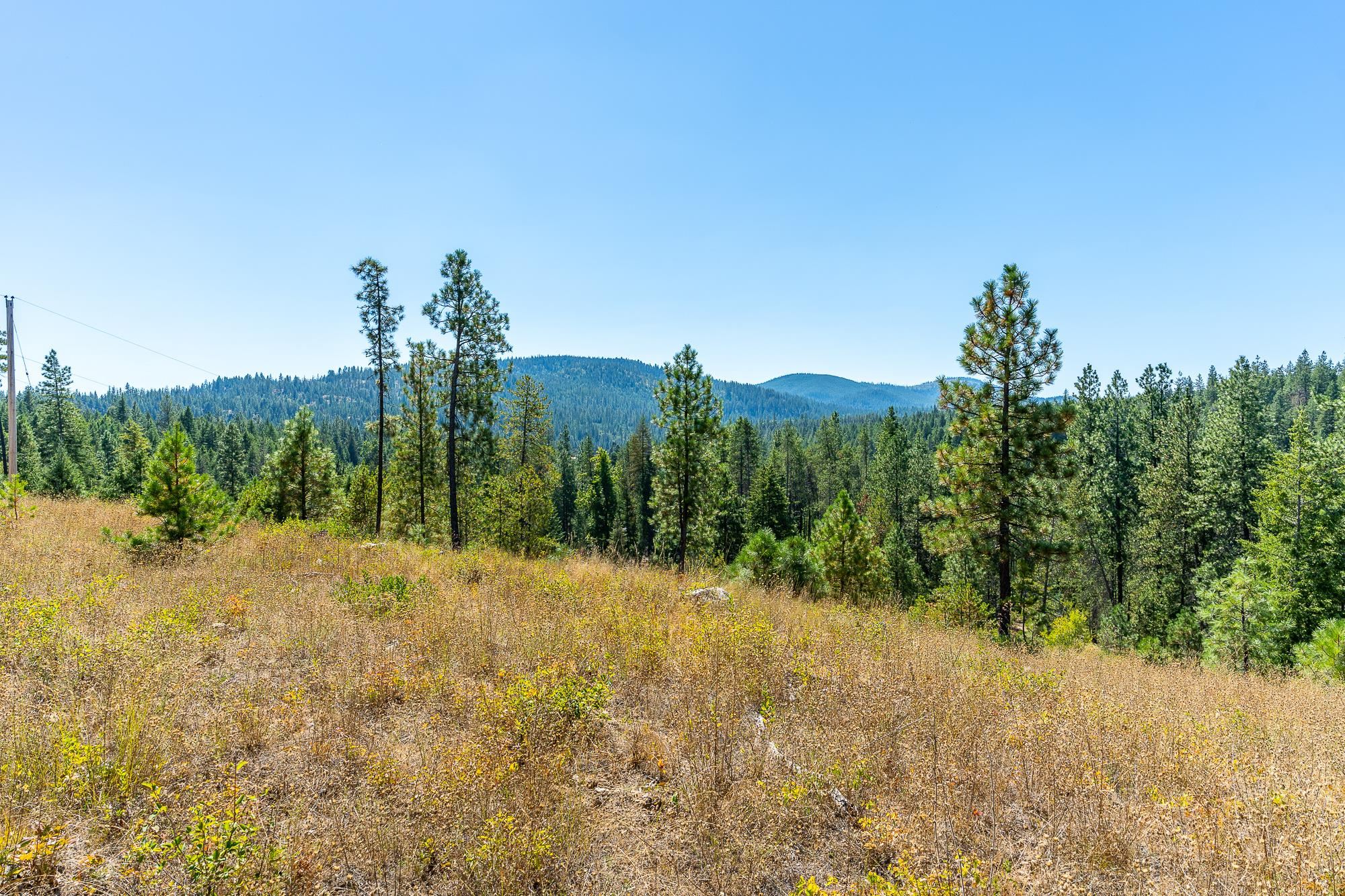 1059 Scotia Road Newport, WA 99156 - Photo 10 of 19