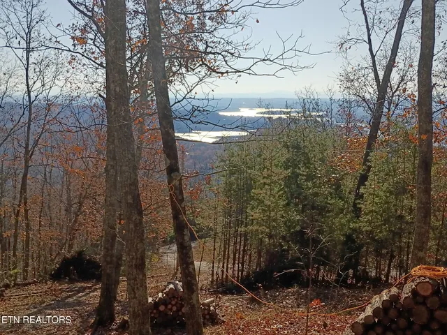 $27,900 | Part Of Wallen Lane, Thorn Hill, TN 37881