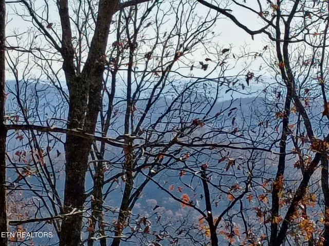 $27,900 | Part Of Wallen Lane, Thorn Hill, TN 37881