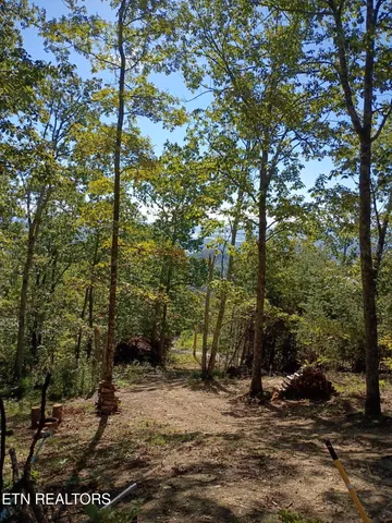 $27,900 | Part Of Wallen Lane, Thorn Hill, TN 37881