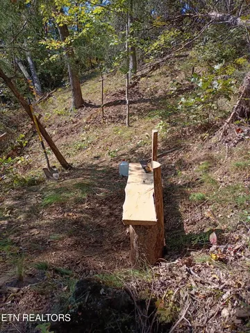 $27,900 | Part Of Wallen Lane, Thorn Hill, TN 37881