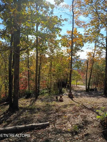 $27,900 | Part Of Wallen Lane, Thorn Hill, TN 37881