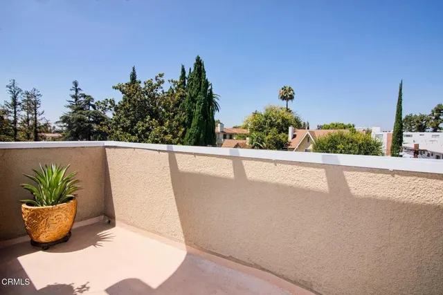 a view of a potted plant in front of a window