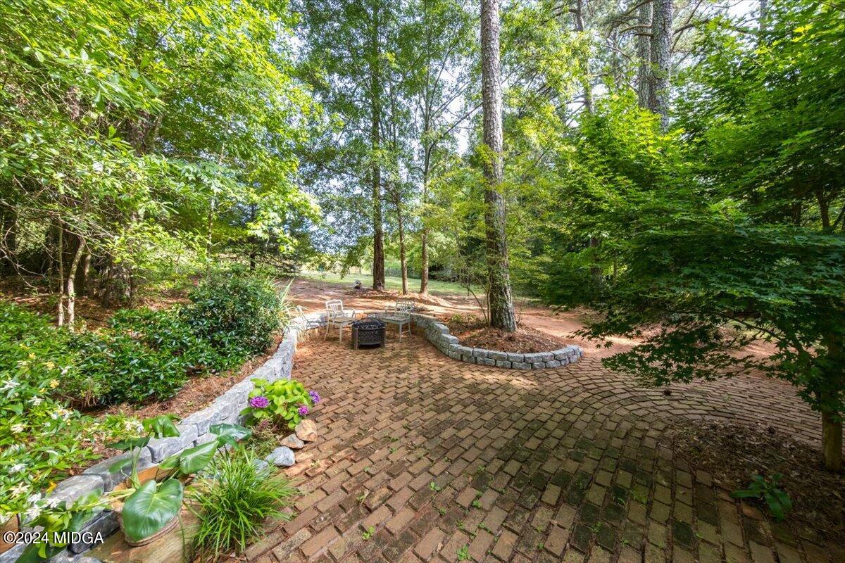 228 Pine Grove Church Road Culloden, GA 31016 - Photo 8 of 40 a view of yard with green space
