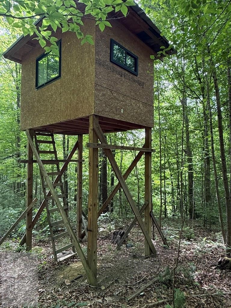 0 Fritz Run Road Ballard, WV 24918 - Photo 6 of 13 Gallery Image 6
