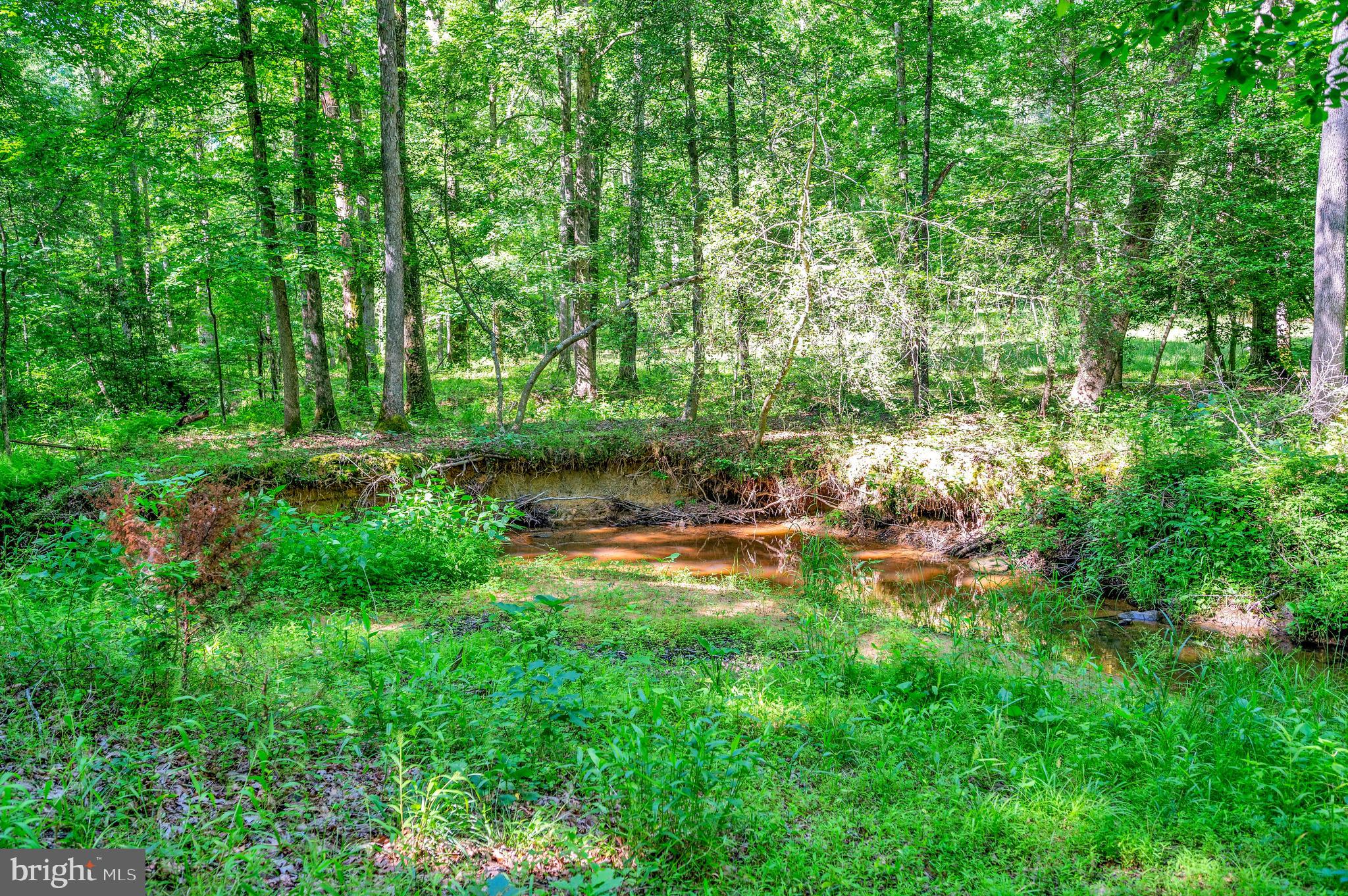 13824 Marsh Road Sumerduck, VA 22742 - Photo 13 of 33 Rock Run Creek on Property