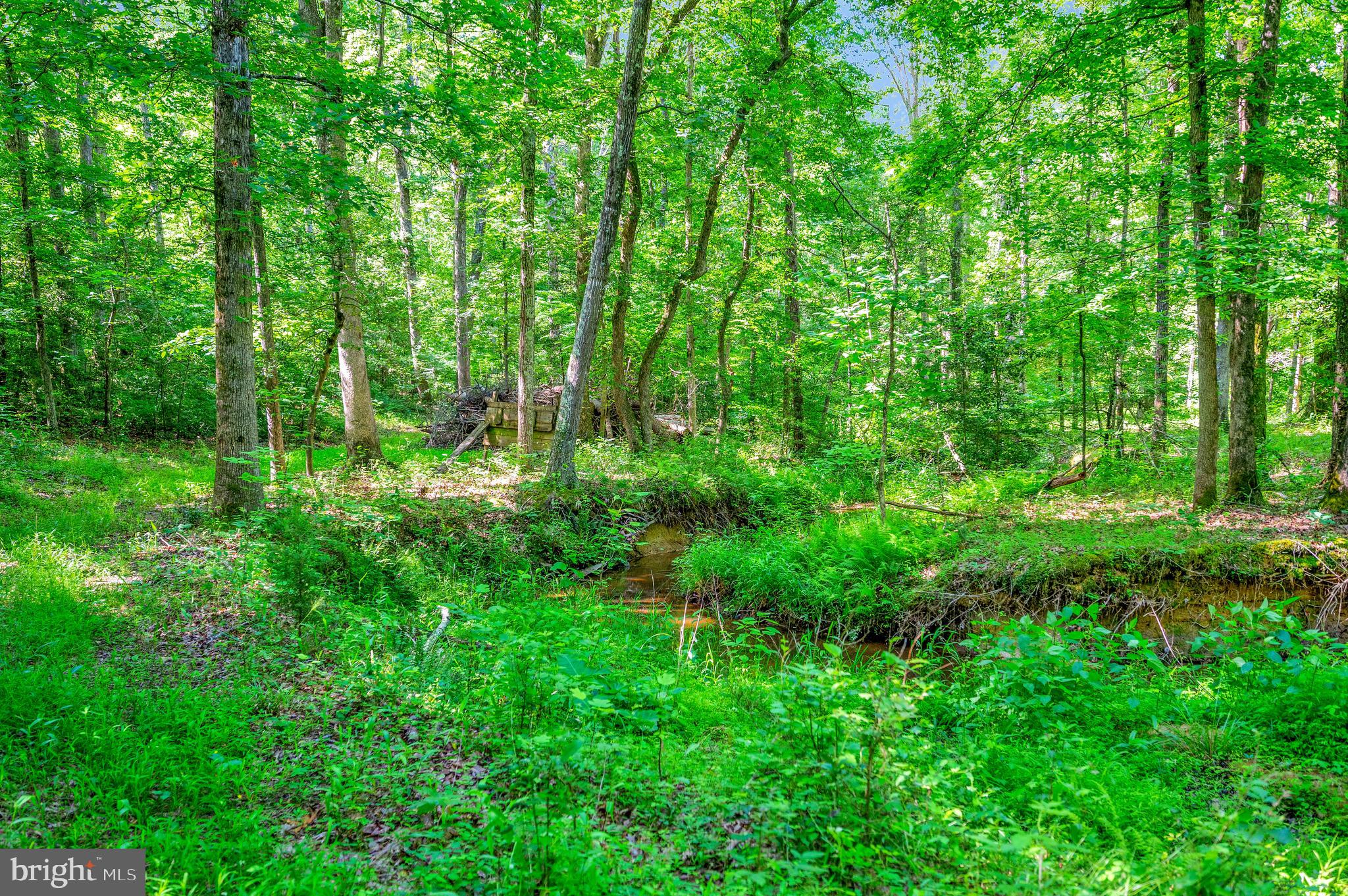 13824 Marsh Road Sumerduck, VA 22742 - Photo 14 of 33 Rock Run Creek on Property
