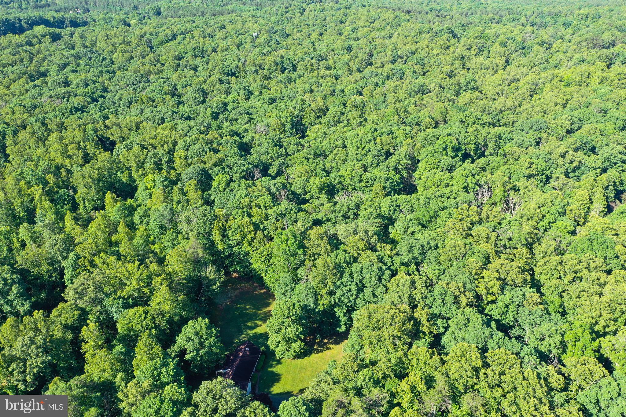 13824 Marsh Road Sumerduck, VA 22742 - Photo 4 of 33 Massive 9.11 Acres