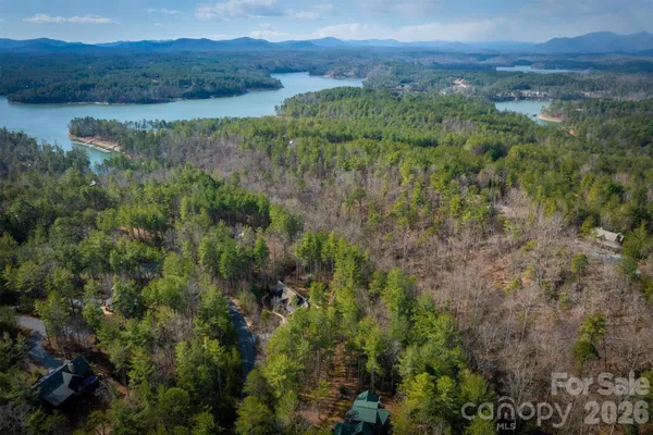 a view of a lush green forest with lots of trees