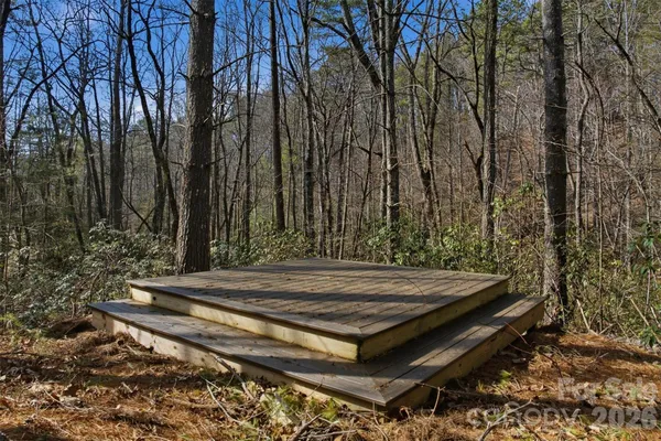 a view of a forest with a house