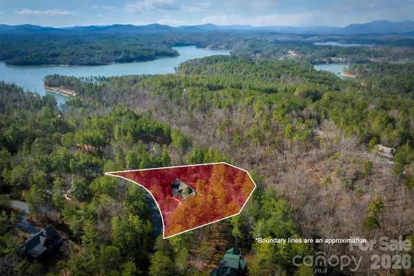 a view of a lush green forest with trees and some houses