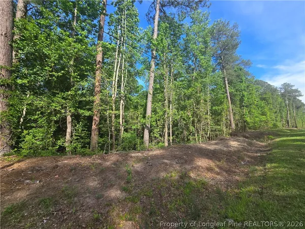 $12,000 | Tbd Cabins Creek Road, Vass, NC 28394
