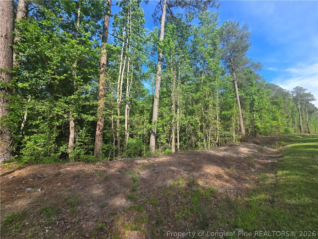 Tbd Cabins Creek Road Vass, NC 28394 - Photo 1 of 9