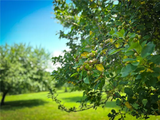 $450,000 | 9008 Highway 3, Sandy Creek, NY 13145