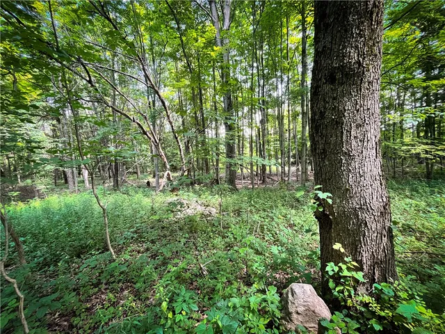 $450,000 | 9008 Highway 3, Sandy Creek, NY 13145