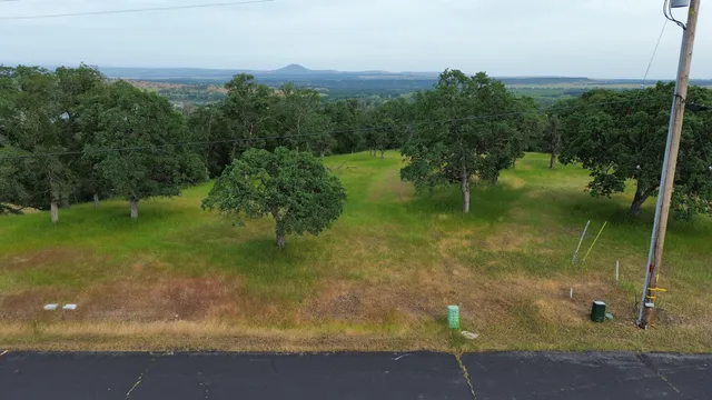 a view of a city with lush green forest