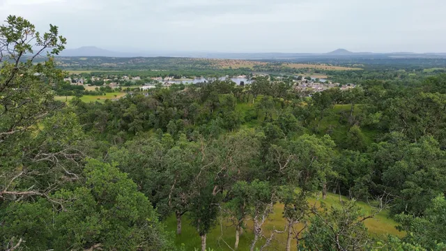an aerial view of residential houses with outdoor space and trees