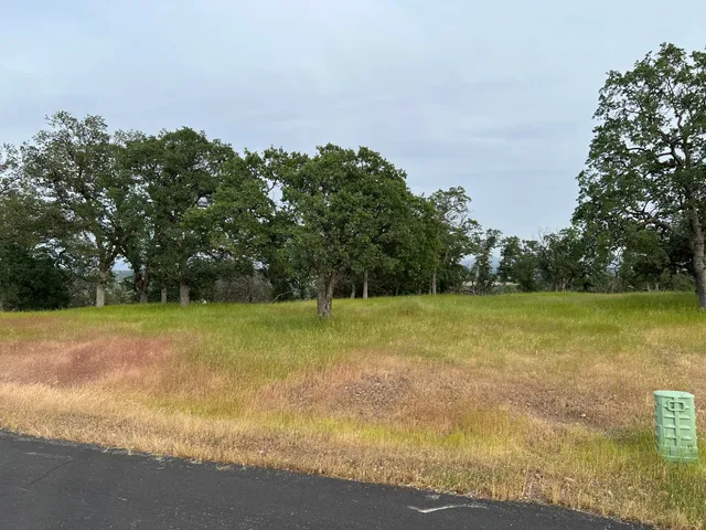 a view of a yard with an outdoor space