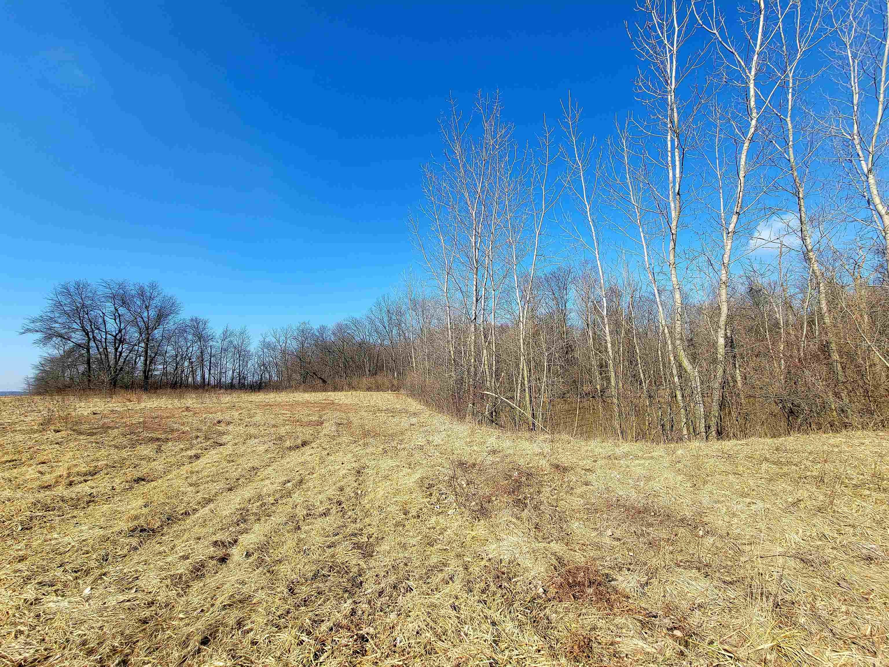 6514 Morgan Road Monroeville, IN 46773 - Photo 3 of 7
